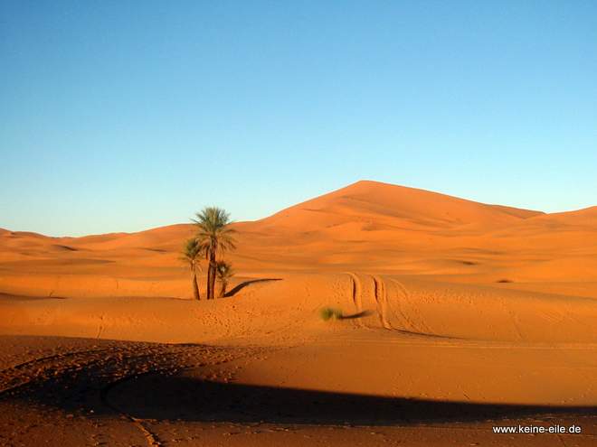 Roadtrip Marokko: Erg Chebbi