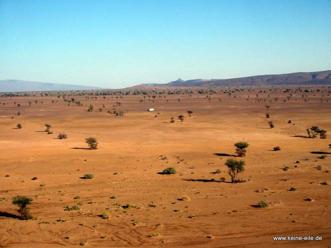 Roadtrip Marokko: Wüste bei Foum Zguid