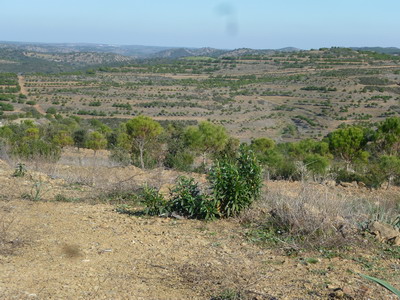 Blick über die Hügellandschaft