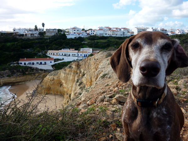 Portugal, Algarve, Reisebericht Praia da Marinha: Benagil: Wir hatten keine Lust hinunter zu gehen