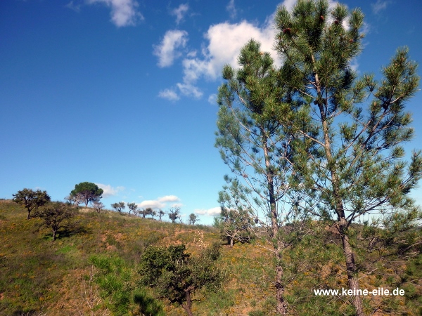 die grünen Hügel der Serra da Cuma, Algarve, Portugal