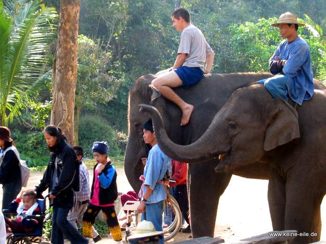 Im Elephant Conversation Center, Lampang, Thailand