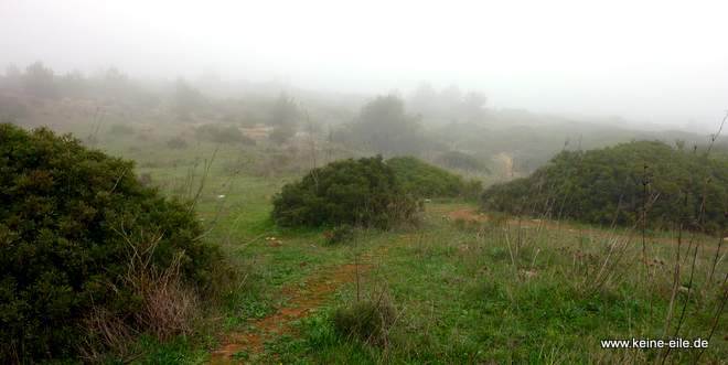 Nebel in der Algarve
