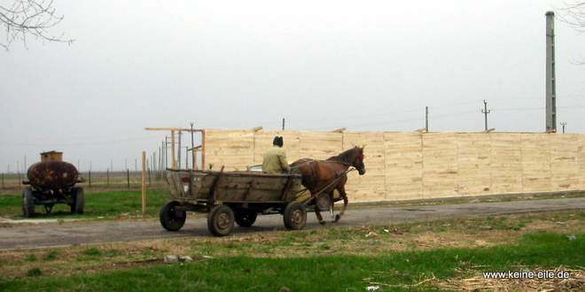Radreise Rumänien: Pferdekutsche