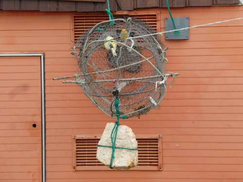 Markt in Barao do Sao Joao