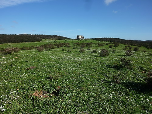 Auf den Klippen über dem Praia do Amado