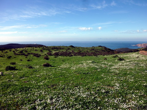 Auf den Klippen über dem Praia do Amado