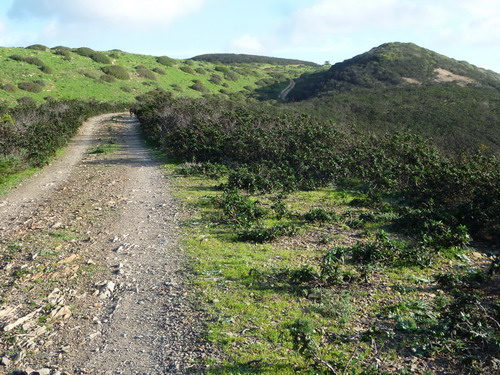 der Weg hinunter zur Praia do Amado
