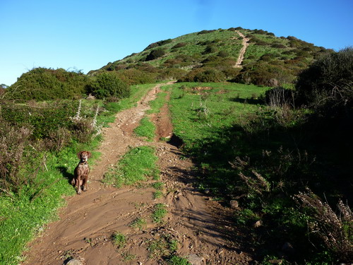 der Weg hinunter zur Praia do Amado