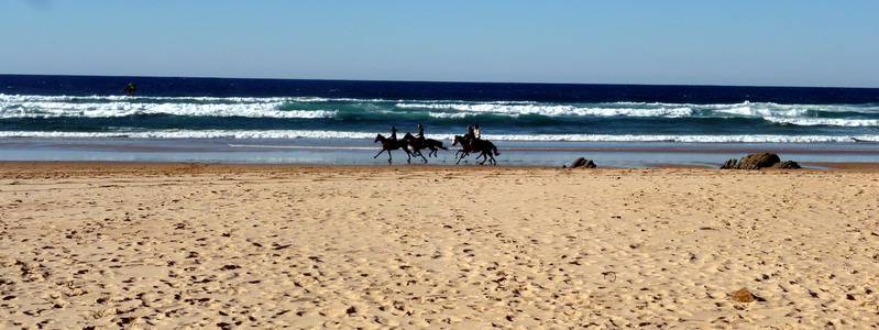 Portugal, Algarve, Aljezur, Praia do Vale Figueiras-Gruppe Reiter am Strand