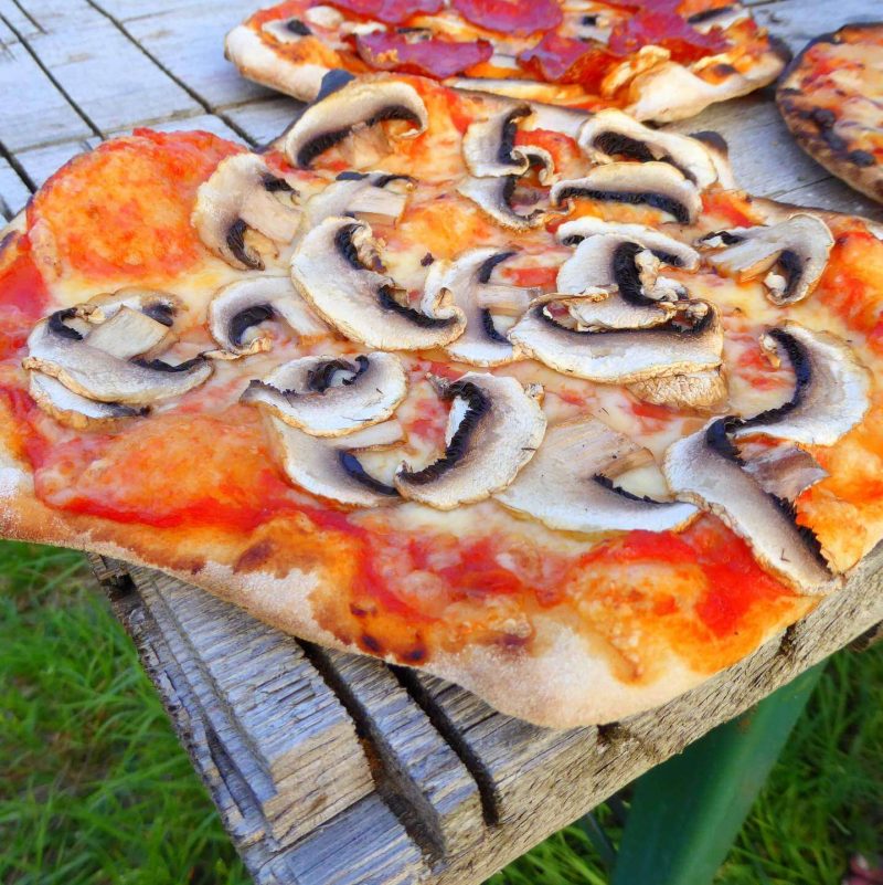 DIY Bauanleitung Pizzaofen kaufen