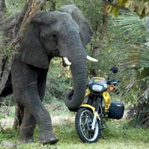 Auf zu den Baobabs – eine gewagte Motorradtour
