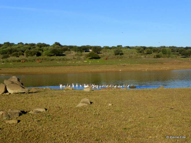 Überwintern in Portugal mit dem Wohnmobil