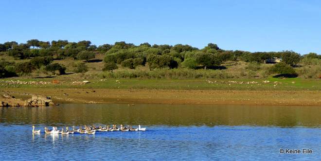 Überwintern in Portugal mit dem Wohnmobil
