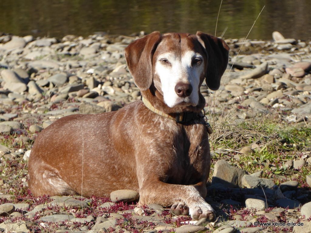 Überwintern Portugal Wohnmobil Algarve
