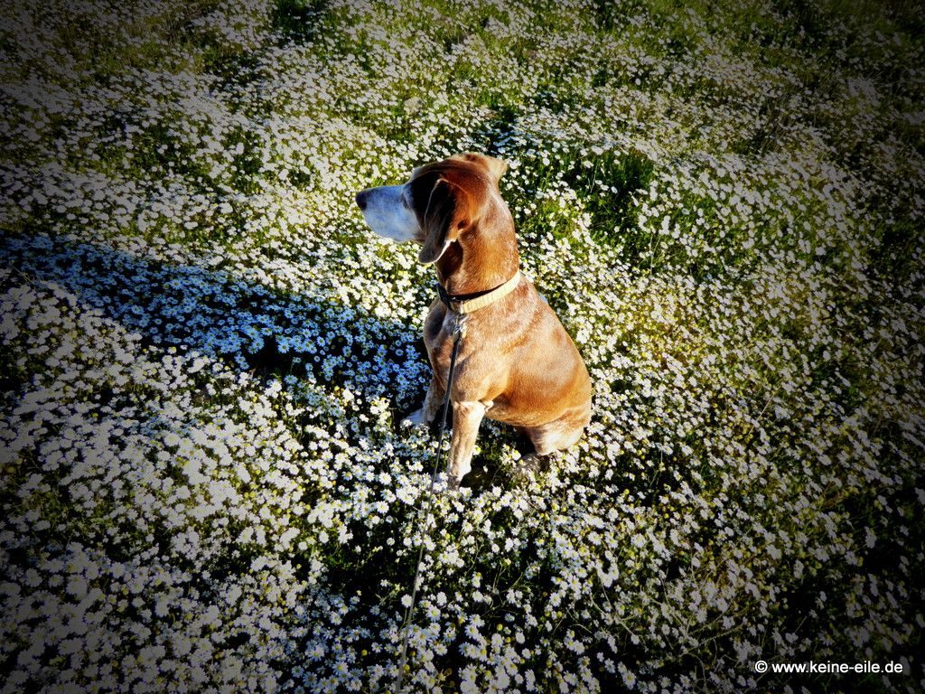 Überwintern Portugal Wohnmobil Algarve