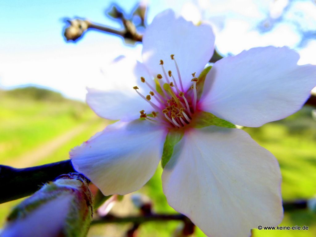 Überwintern Portugal Wohnmobil Algarve