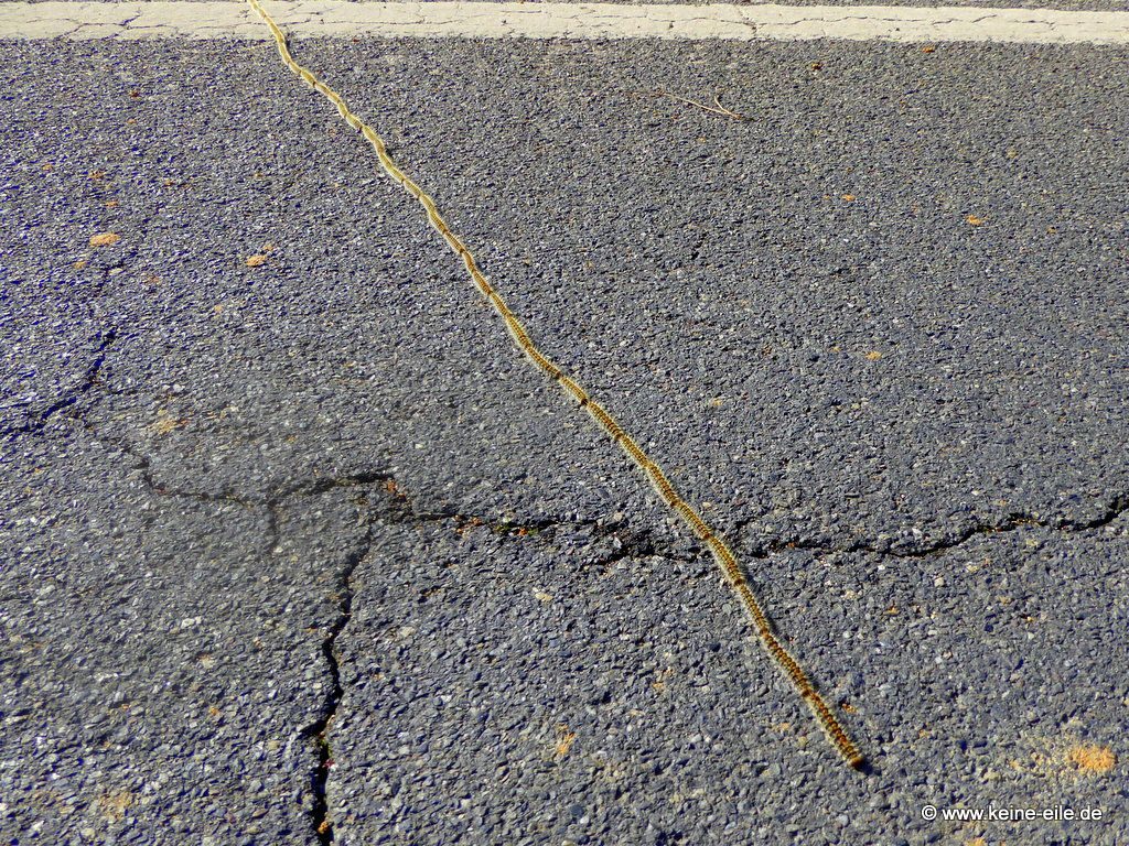 Überwintern Portugal Wohnmobil Algarve ©keine-eile.de