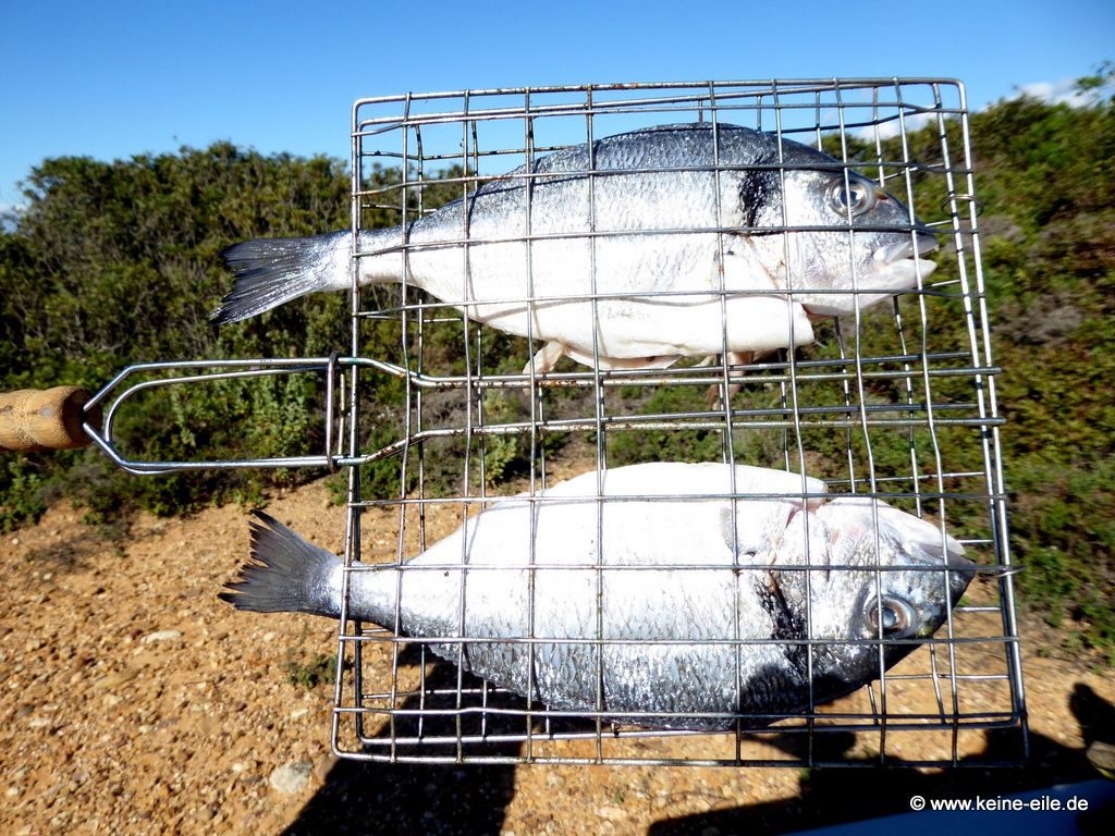Überwintern Portugal Wohnmobil Algarve ©keine-eile.de