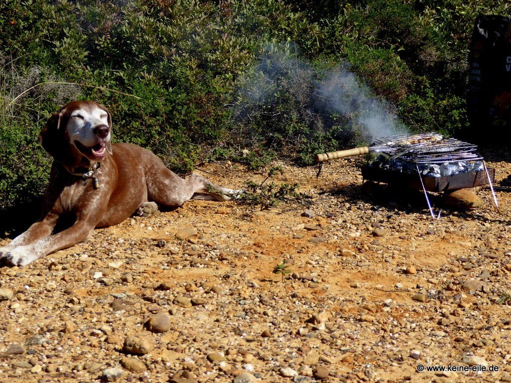 Überwintern Portugal Wohnmobil Algarve ©keine-eile.de