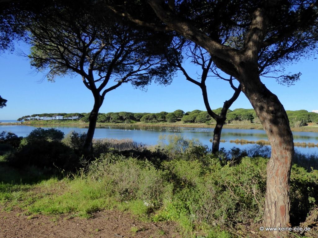 Überwintern Portugal Wohnmobil Algarve ©keine-eile.de