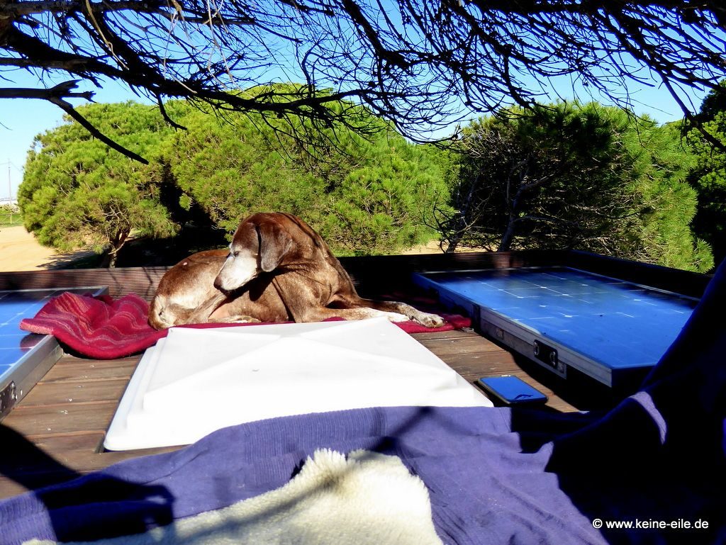 Überwintern Portugal Wohnmobil Algarve ©keine-eile.de