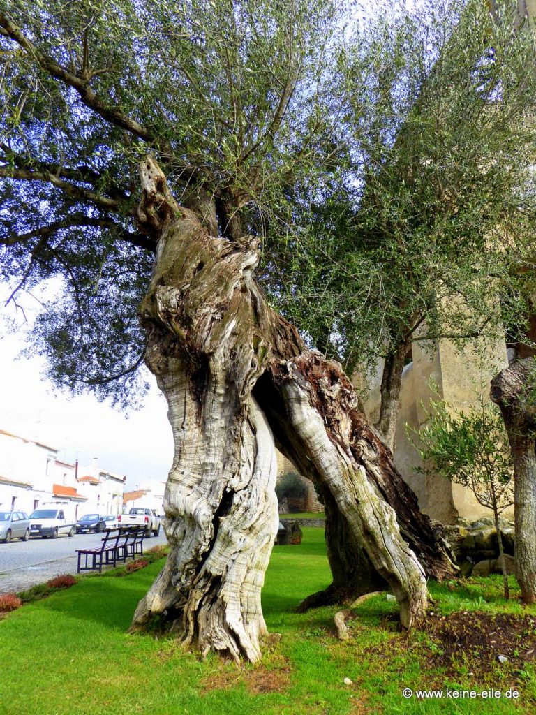 Überwintern in Portugal: Serpa