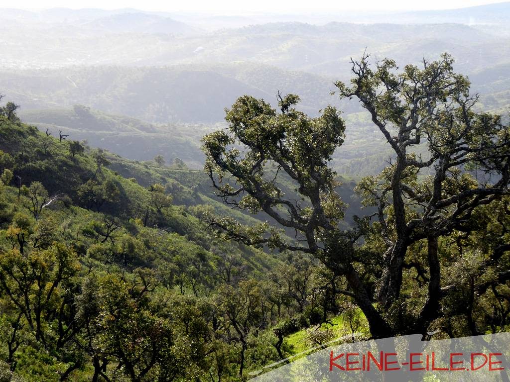 Serra Alcaria - Algarve - Portugal