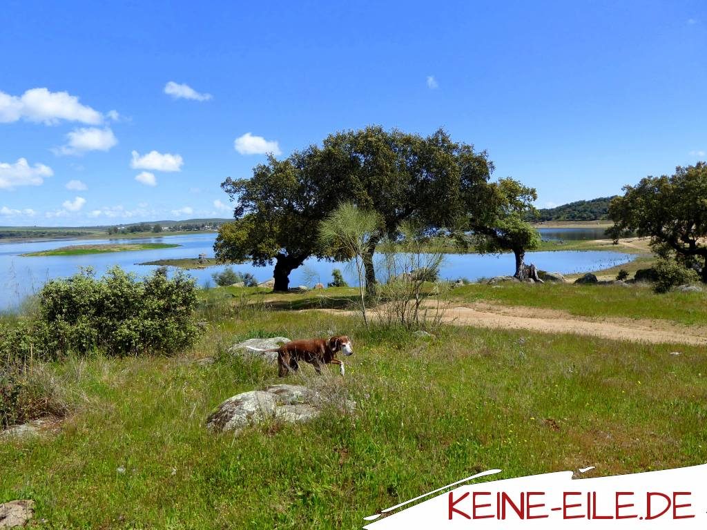 Am Lieblingsstausee, Alentejo, Portugal