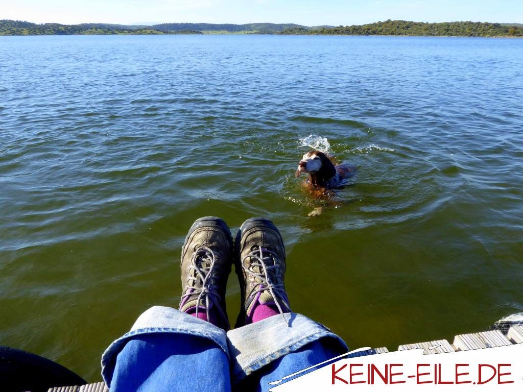 am Stausee bei Idanha Nova
