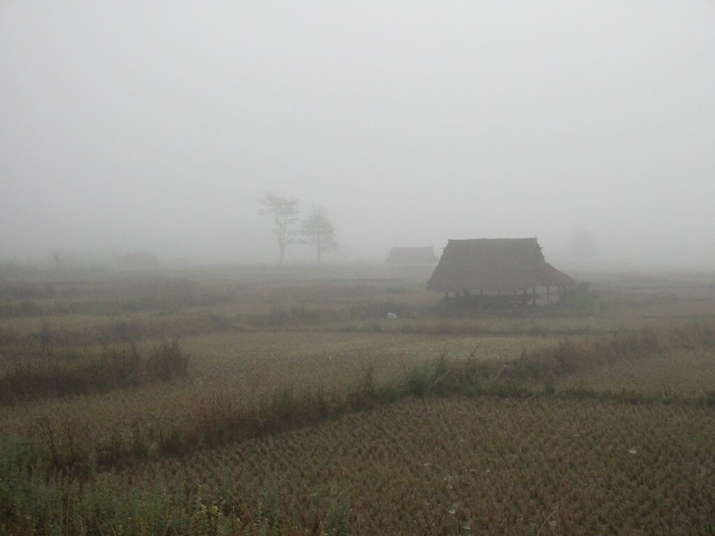Landschaft, Reisefelder im Nebel
