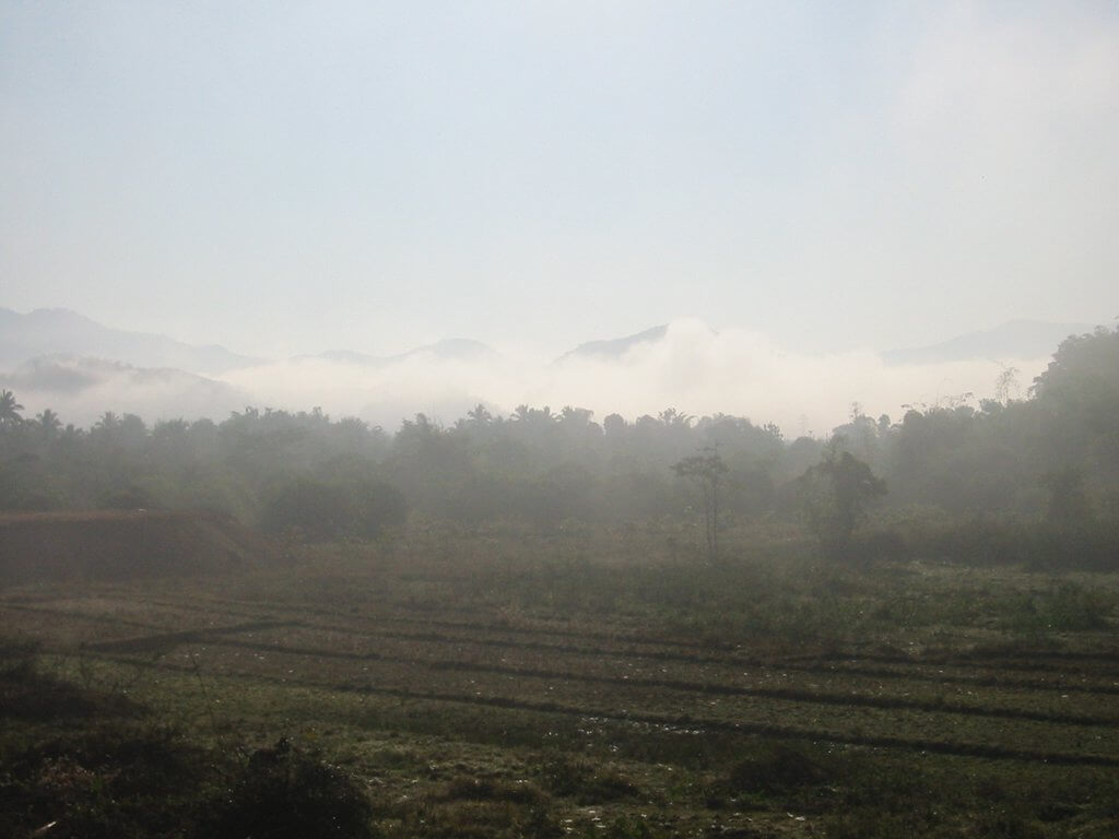Reisfelder im Nebel bei Mae Chan